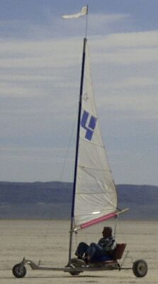 Stewart